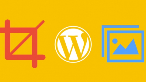 Thumbnail Crop Position